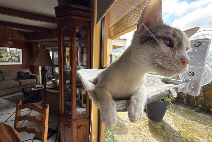 DJI_20251125_132020_809