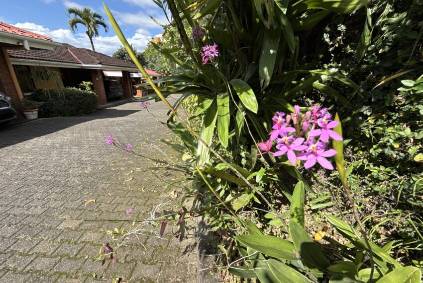 DJI_20251125_133507_961