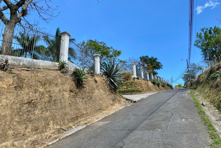 b2897045-b58e-45f0-86ac-3b8a062acec9