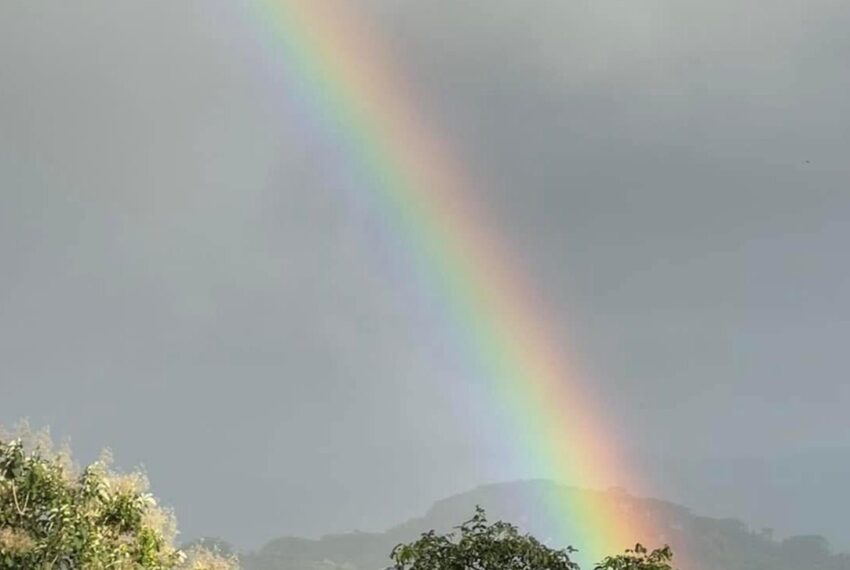 bad3071f-4b13-4520-b90a-f7892a86c588