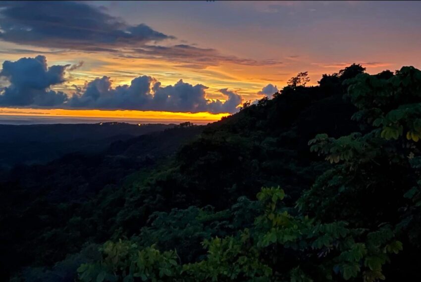 e80bacca-765a-4080-9ff4-089579e44f2f