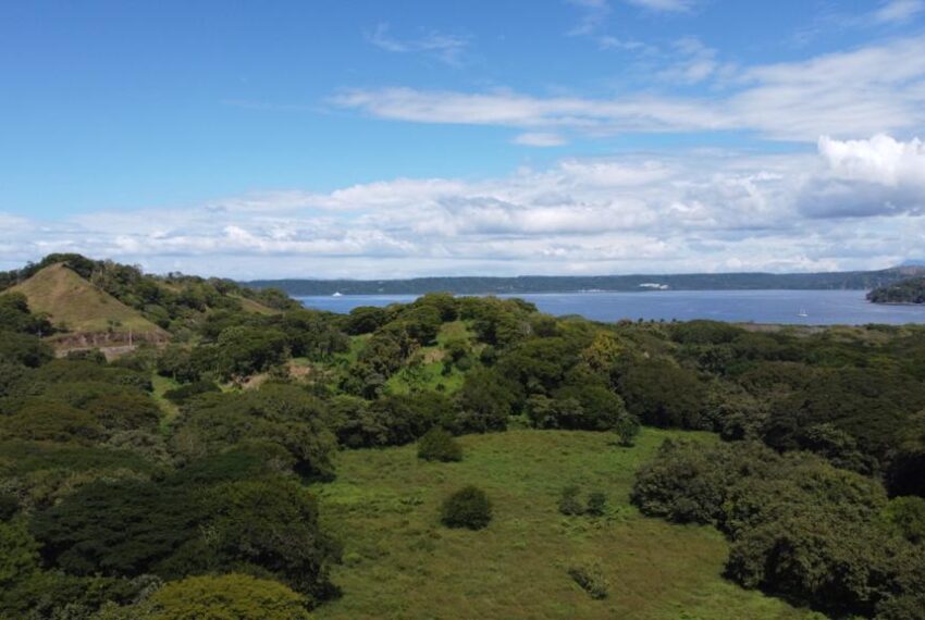 FINCA VIDOR PLAYA PANAMA 3