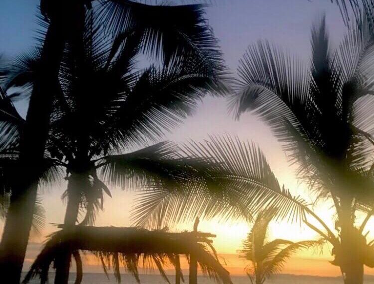 abe303e7-f666-4b44-a9f6-dce5f7449cea